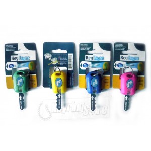 http://www.keyringpromotions.com/35-97-thickbox/led-key-torch-flashlight-keyring-keychain.jpg